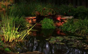 landscape4  